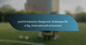 Junichi Inamoto: Bakgrund, Klubbspecifik väg, Internationell erfarenhet