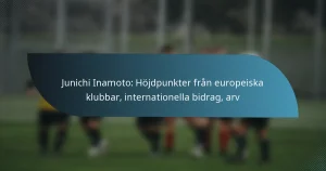 Junichi Inamoto: Höjdpunkter från europeiska klubbar, internationella bidrag, arv