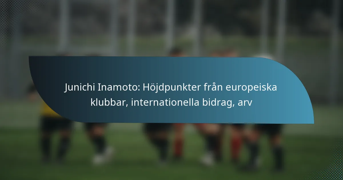 Junichi Inamoto: Höjdpunkter från europeiska klubbar, internationella bidrag, arv
