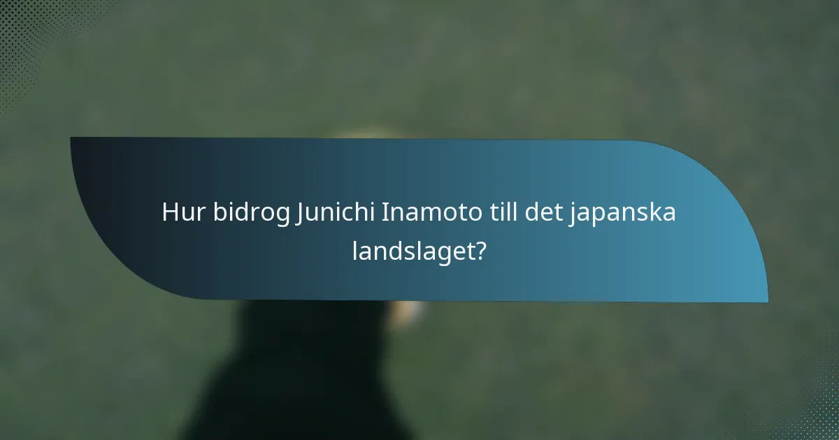 Hur bidrog Junichi Inamoto till det japanska landslaget?