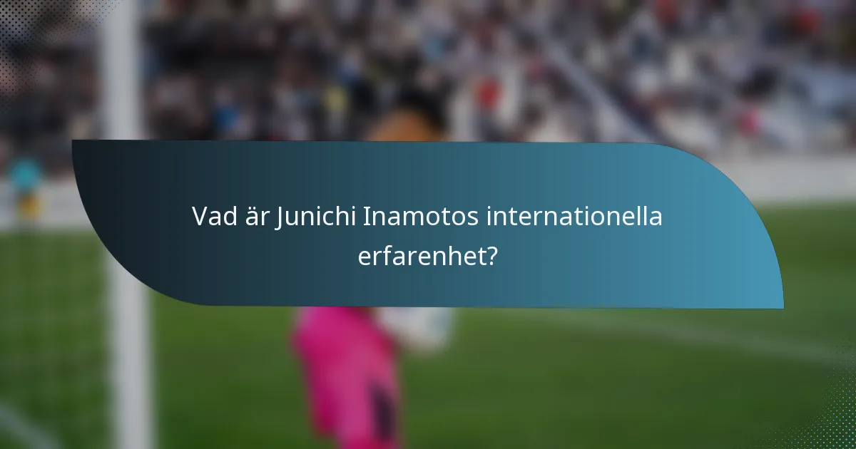 Vad är Junichi Inamotos internationella erfarenhet?