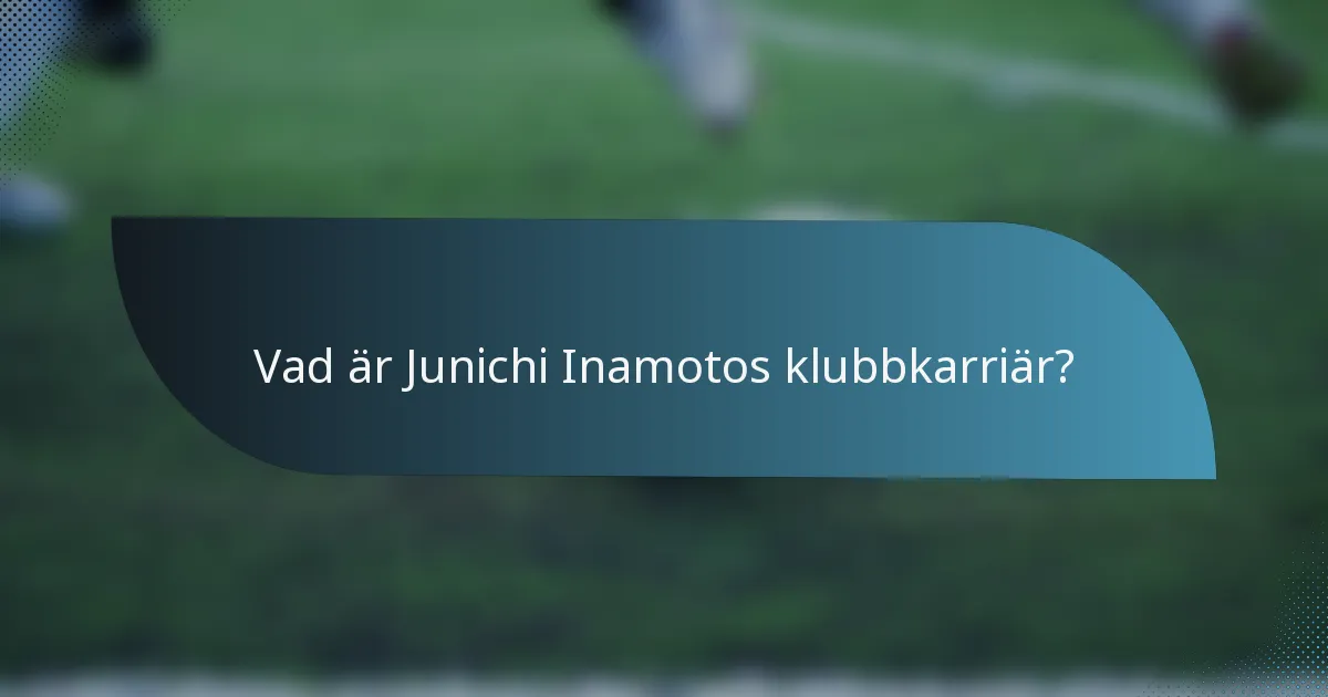 Vad är Junichi Inamotos klubbkarriär?