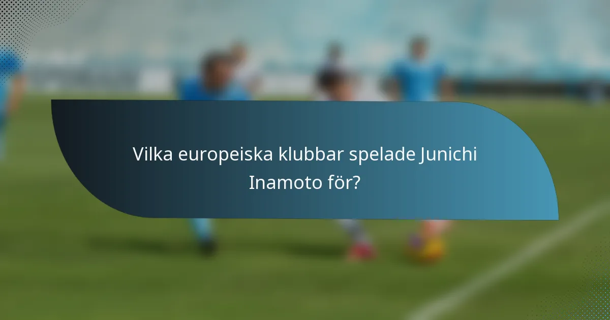 Vilka europeiska klubbar spelade Junichi Inamoto för?